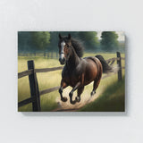 Horse Gallop Field Fence 18 Wall Art