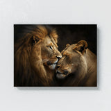 Lion Affection Display Behavior 57 Wall Art