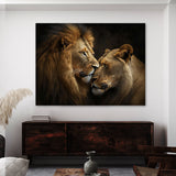 Lion Affection Display Behavior 57 Wall Art