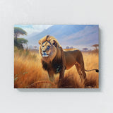 Lion African Savannah 79 Wall Art