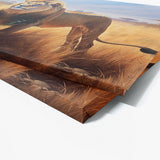 Lion African Savannah 79 Wall Art