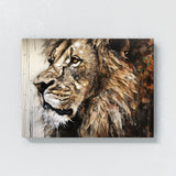 Lion Artwork Materials 111 Wall Art