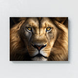 Lion Intense Gaze 42 Wall Art