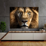 Lion Intense Gaze 42 Wall Art