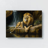 Lion Natural World 45 Wall Art