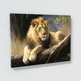 Lion Nature Beauty Grace Serene 35 Wall Art