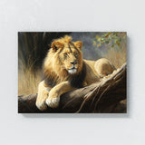 Lion Nature Beauty Grace Serene 35 Wall Art