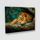 Lion Sleeping Peaceful Tree Den 56 Wall Art