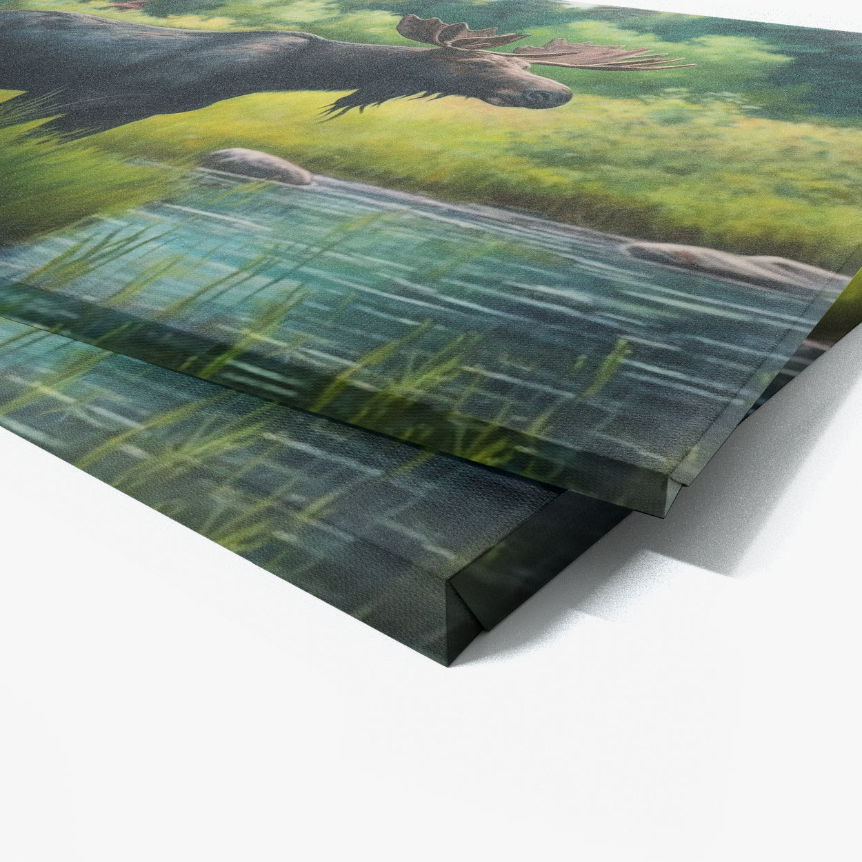 Moose Realistic Meadow 20 Wall Art