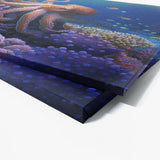 Octopus Realistic Coral Reef 3 Wall Art