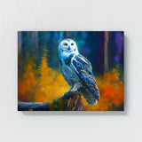 Owl Snowy 17 Wall Art