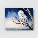 Owl Snowy Blue Sky 26 Wall Art