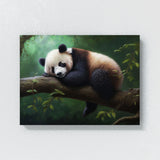 Panda Sleeping In Forest 9 Wall Art