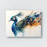 Peacock Abstract Feathers 7 Wall Art