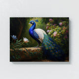 Peacock Peaceful Serene Garden 17 Wall Art