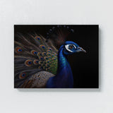 Peacock Realistic Feather 21 Wall Art