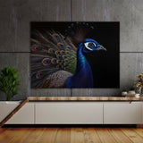 Peacock Realistic Feather 21 Wall Art