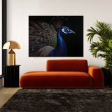 Peacock Realistic Feather 21 Wall Art