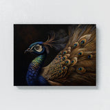 Peacock Realistic Feather 22 Wall Art
