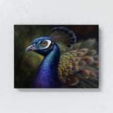 Peacock Vivid Portrait Detailed 2 Wall Art