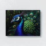 Peacock Vivid Portrait Detailed 3 Wall Art