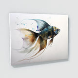 Angelfish Art 12 Wall Art