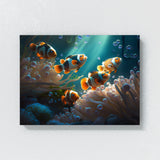 Clownfish Light Shadow Anemones 4 Wall Art