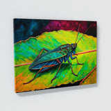 Cricket Artwork 7 Wall Art