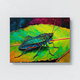 Cricket Artwork 7 Wall Art