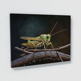 Cricket Branch Visible 4 Wall Art