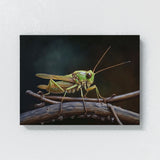 Cricket Branch Visible 4 Wall Art