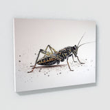 Cricket Texture 8 Wall Art