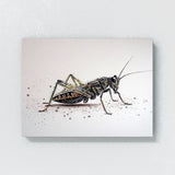 Cricket Texture 8 Wall Art