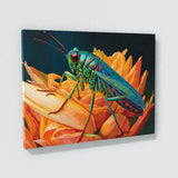 Cricket Vibrant Nature 6 Wall Art