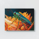 Cricket Vibrant Nature 6 Wall Art