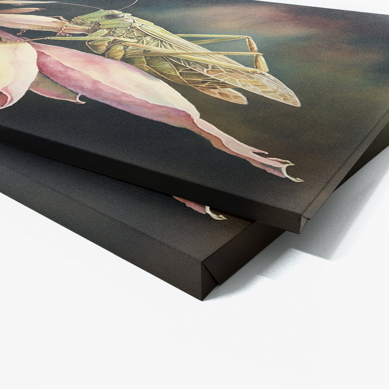 Cricket Watercolor Flower 13 Wall Art