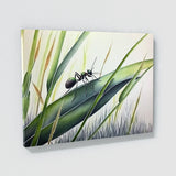 Ant Natural Beauty Of 12 Wall Art