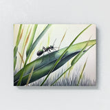 Ant Natural Beauty Of 12 Wall Art