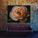 Bee Rose Realistic 15 Wall Art