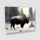 Bison Snowstorm Trees 11 Wall Art