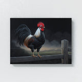 Chicken Vivid Rural Rooster 26 Wall Art