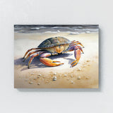 Crab Watercolor Beach 3 Wall Art
