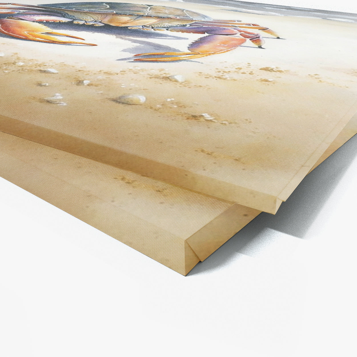 Crab Watercolor Beach 3 Wall Art