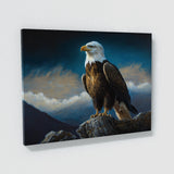 Eagle Atmospheric Bald 11 Wall Art