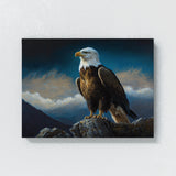 Eagle Atmospheric Bald 11 Wall Art