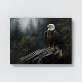 Eagle Bald Forest Scene 17 Wall Art