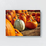 Black Cat Pumpkin 7 Wall Art