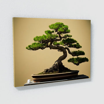 Bonsai Tree 24 Canvas Wall Art Print Decor Artwork Picture Painting Poster  – Sense Canvas