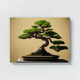 Bonsai Tree 24 Wall Art