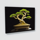 Bonsai Tree 34 Wall Art